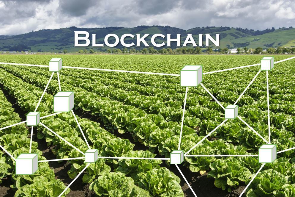 gıda sektörü ve blockchain