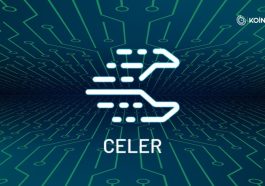 Celer Network