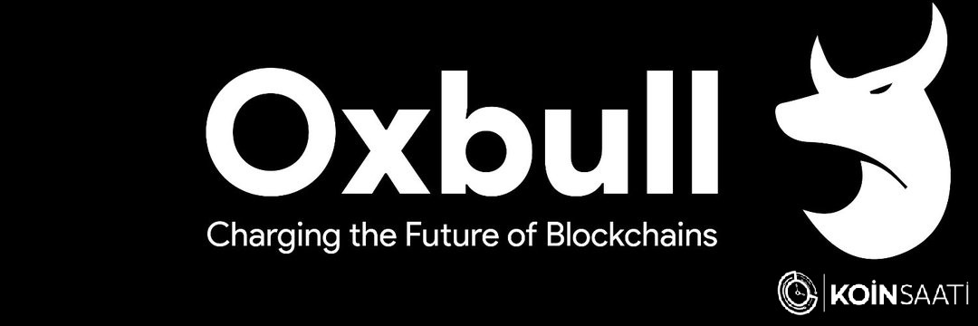 Oxbull.tech, Launchpad