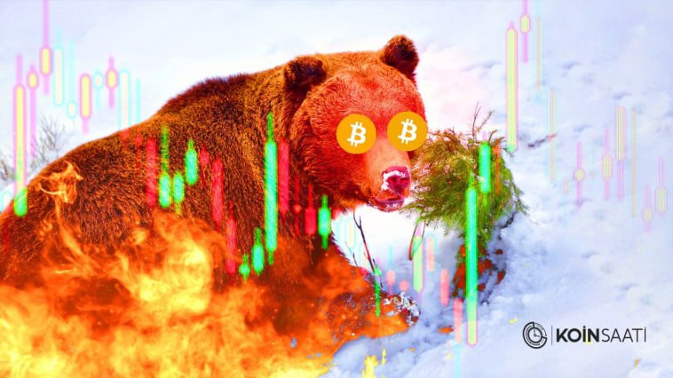 Bear, bitcoin